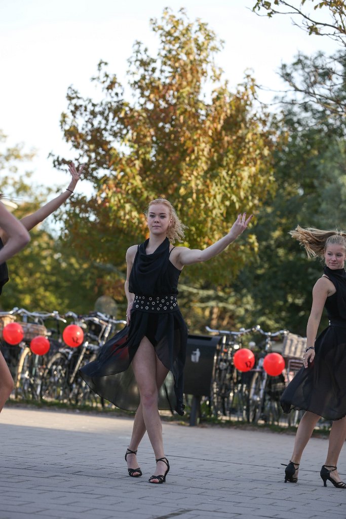 Schoolplein Festival B 185.jpg